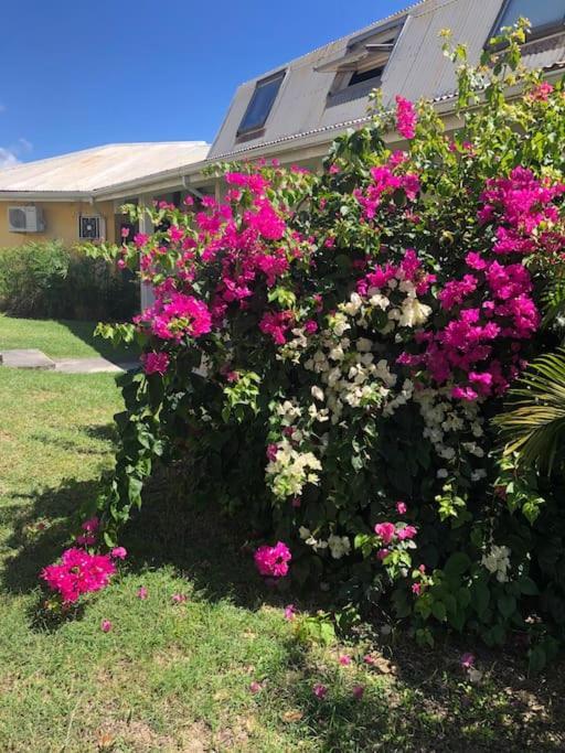 Caribbean Window Appartement Le Gosier (Grande-Terre)